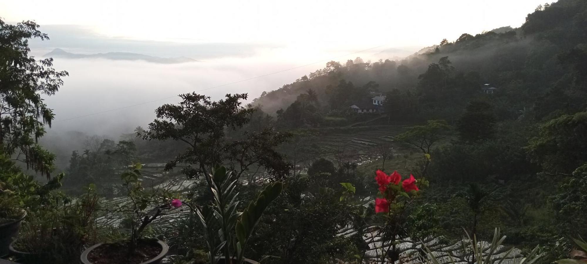 Kandy Ivy Mountain View Resort Værelse billede