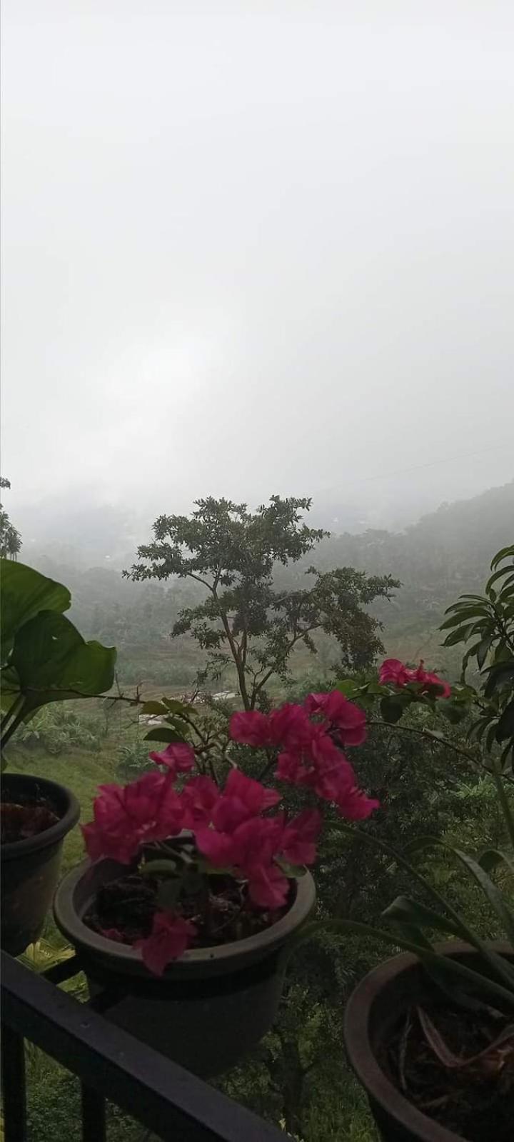 Kandy Ivy Mountain View Resort Eksteriør billede