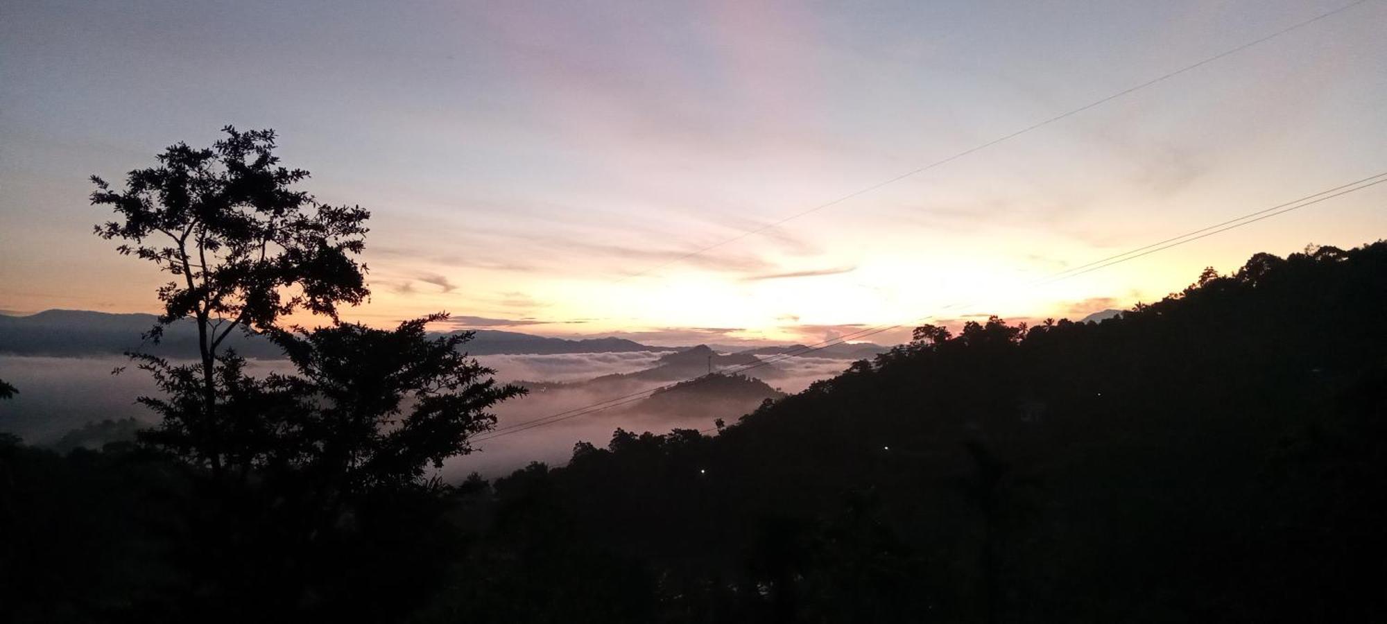 Kandy Ivy Mountain View Resort Værelse billede