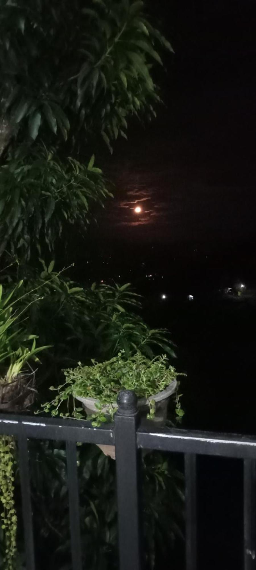Kandy Ivy Mountain View Resort Værelse billede