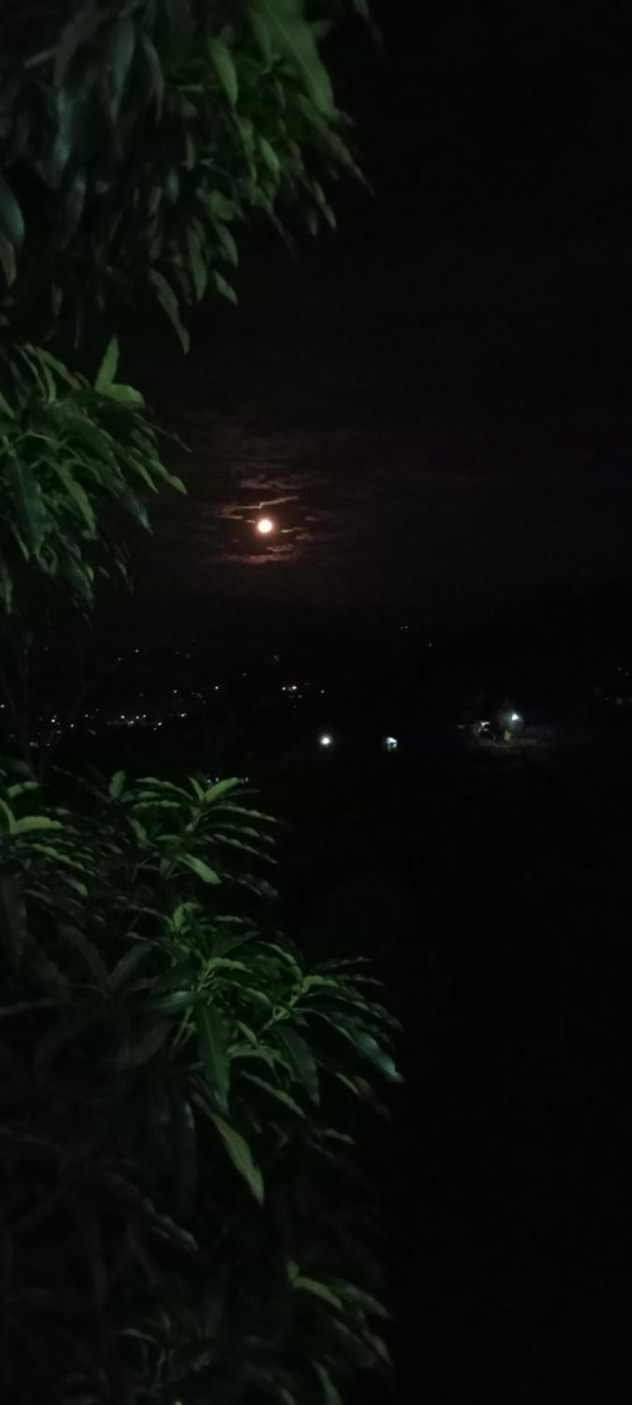 Kandy Ivy Mountain View Resort Værelse billede
